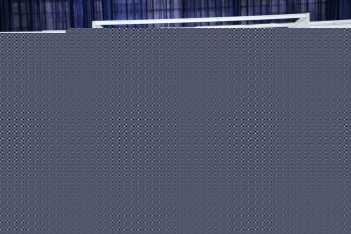 برگزاری اولین همایش فریلنسینگ در منطقه آزاد انزلی