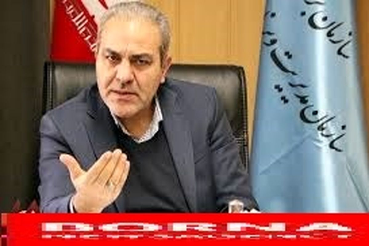 گلایه رئیس سازمان مدیریت و برنامه ریزی استان تهران از بودجه ریزی فرمانداری ها