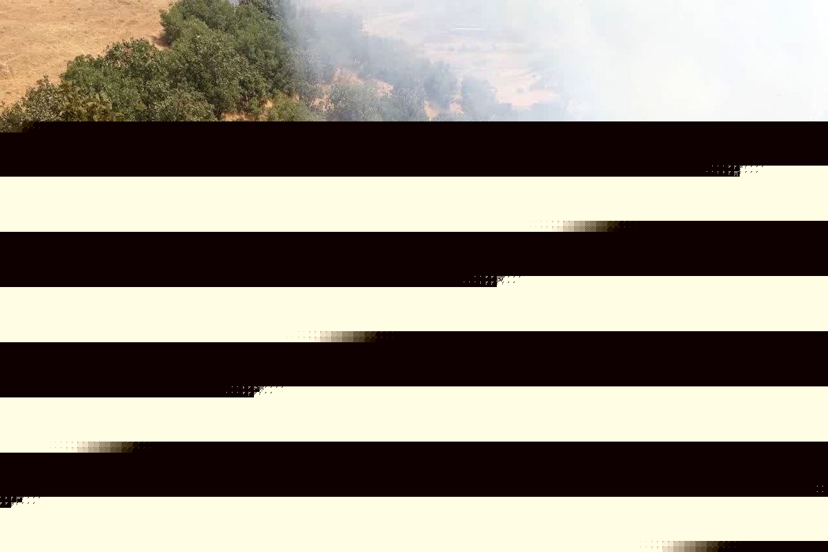 آتش سوزی جنگل‌های مریوان با حضور کارکنان تیپ ۳۲۸ مهار شد