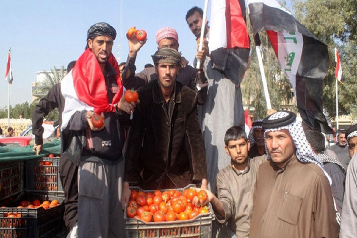 کمپین عراقی‌ها علیه گوجه فرنگی ایرانی