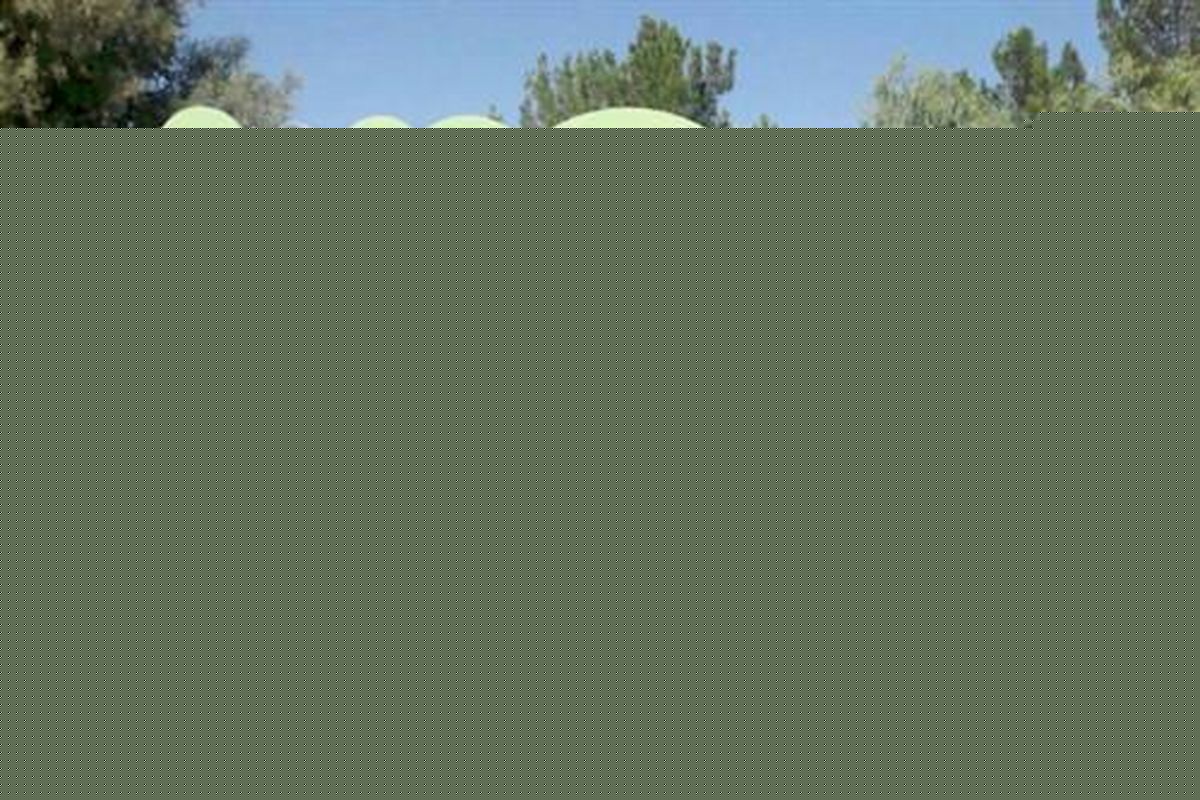 همه ما سربازان جان برکف انقلاب اسلامی هستیم