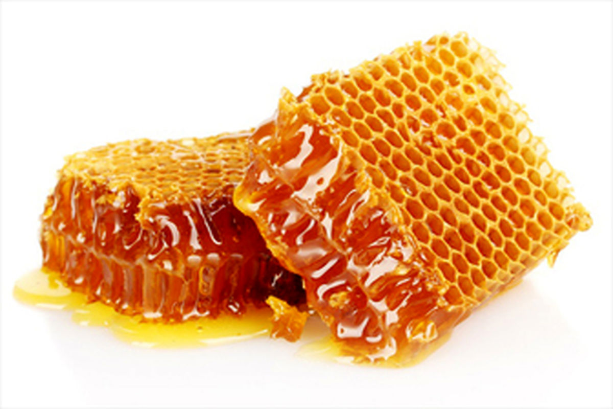 برداشت نزدیک به ۷۰۰ تن عسل از سطح زنبورستان‌های شاهین دژ