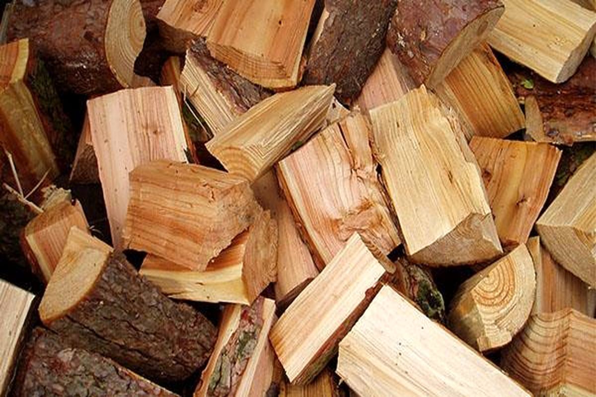 صادرات هرگونه چوب ممنوع است