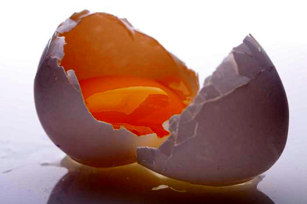 آشنایی با ارزش غذایی تخم مرغ به مناسبت روز جهانی تخم مرغ