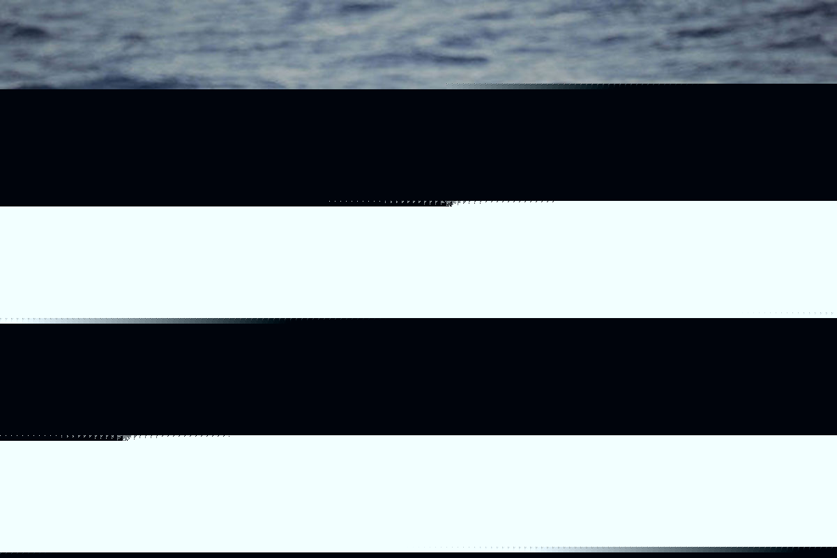 غرق شدن قایق مهاجران در ترکیه ۴ کشته و ۳۰ گم شده برجای گذاشت