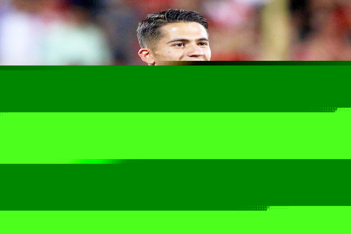 با گلهای علیپور و منشاء استقلال را می بریم