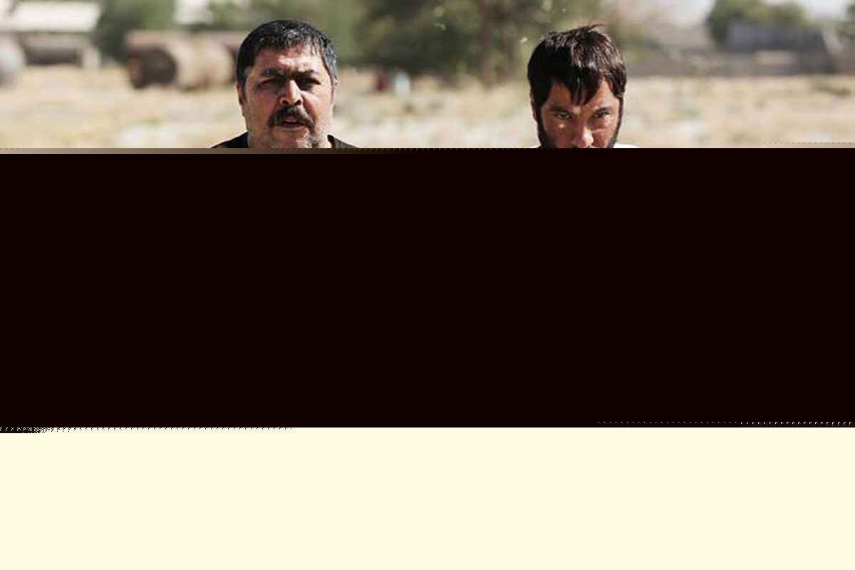 فیلم هومن سیدی جزء پرفروش های سینما/ «مغزهای کوچک زنگ زده» با استقبال مخاطبان مواجه شد