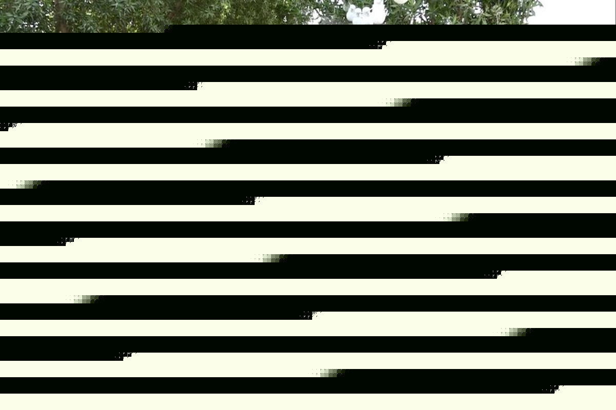 استقبال پرشور زائرین اربعین از برنامه‌های تبلیغی-فرهنگی موکب جنت الحسین(ع) در کربلای معلی