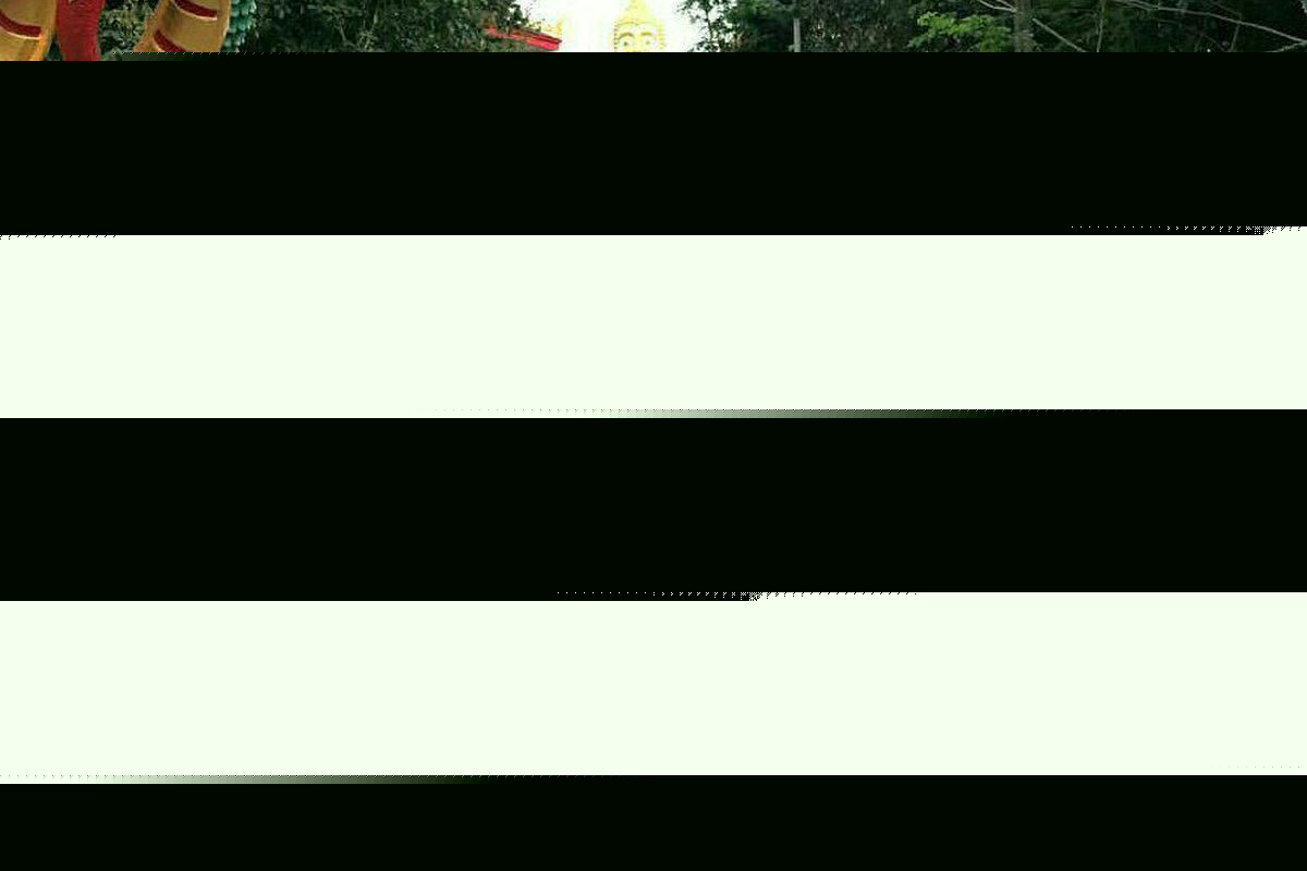 واکنش کاهانی به برخی انتقادها به فیلم «خانم یایا»