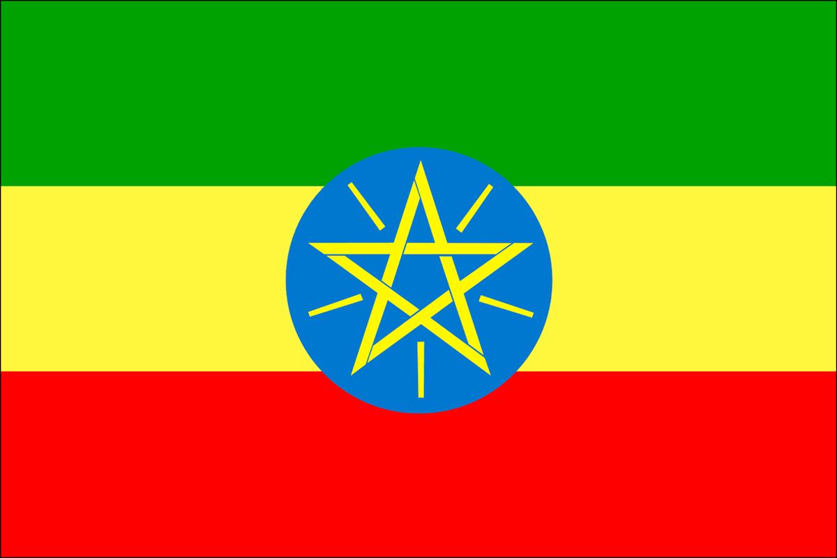 برای نخستین بار در تاریخ اتیوپی یک زن رئیس جمهوری شد