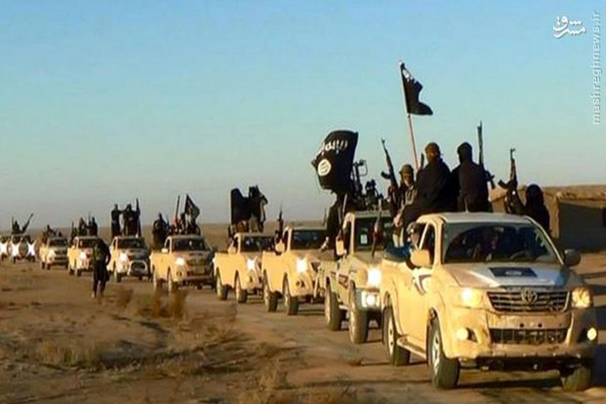 ۳۰ هزار جوان عراقی در جنگ با داعش به شهادت رسیدند