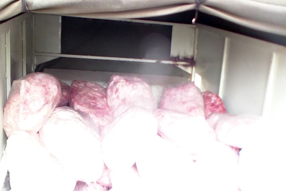 امحاء ۵۰۰ کیلو گوشت فاسد در الیگودرز