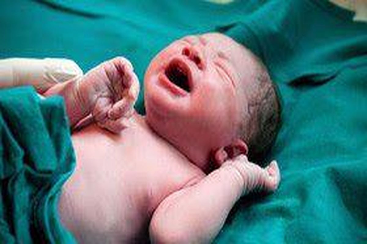 تولد یک هزار و ۱۹۶ نوزاد درطی تعطیلات نوروز