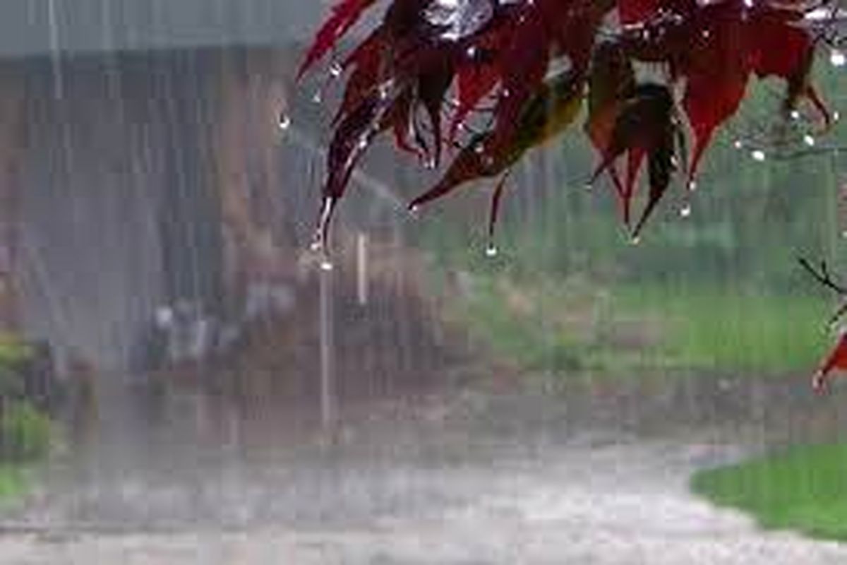 بارندگی‌ها در گیلان کاهش می یابد