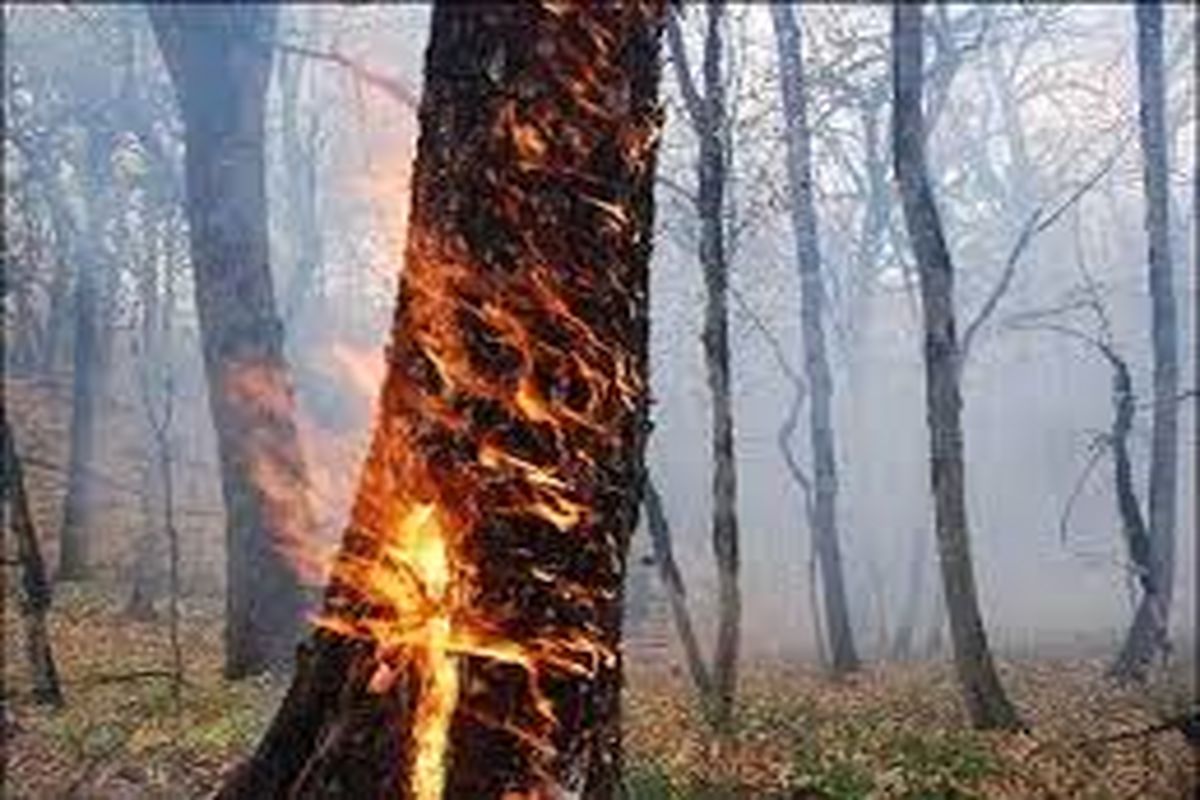 مهار آتش‌سوزی در جنگل‌های حاشیه ارس