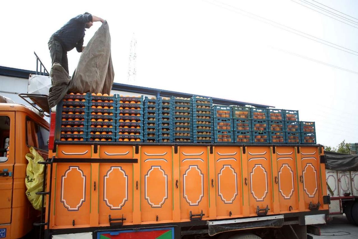 جزییات تعیین قیمت نوروزی پرتقال مازندران