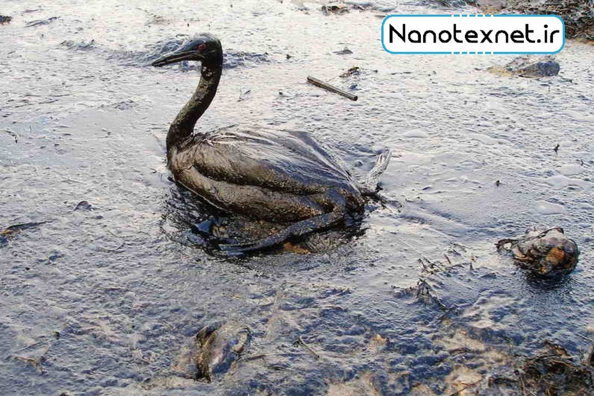 شرکت‎های نفتی برای مقابله با آلودگی در محیط‌های آبی تجهیز می‎شوند