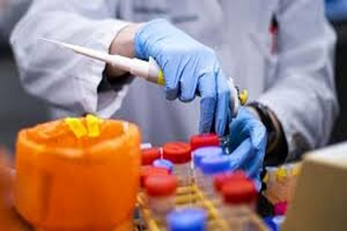 آزمایشگاه تشخیص مولکولی کرونا ویروس جدید در استان ایلام راه اندازی شد