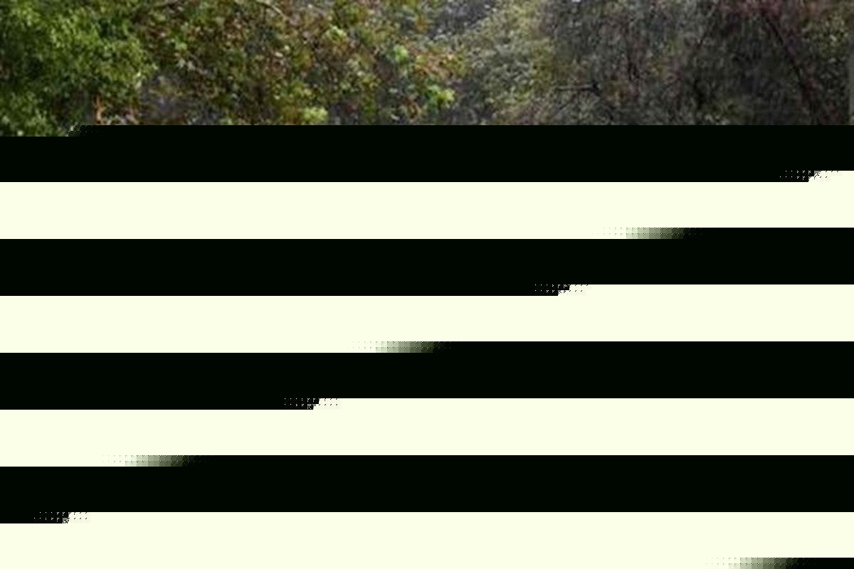 تهران بارانی می‌شود