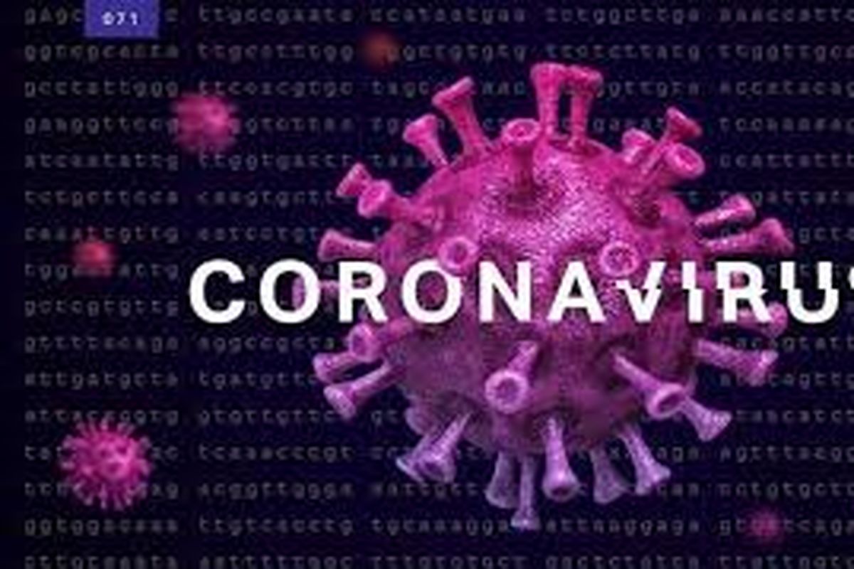 یک مورد مثبت کرونا ویروس در البرز ثبت شد