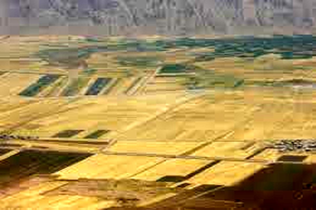 رفع تصرف ۱۲ هزار مترمربع از اراضی ملی شهرستان تربت حیدریه
