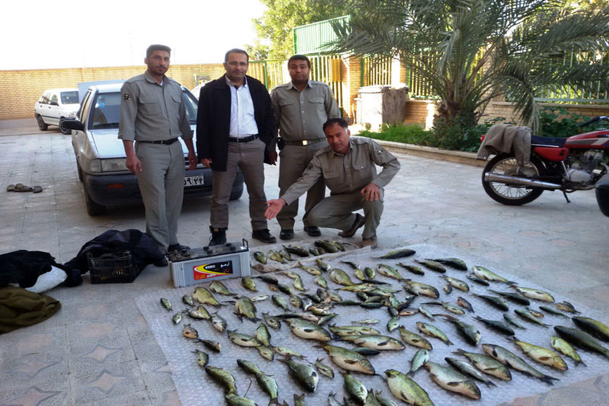 ۳ صیاد غیر مجاز ماهی در تالاب شادگان دستگیر شدند