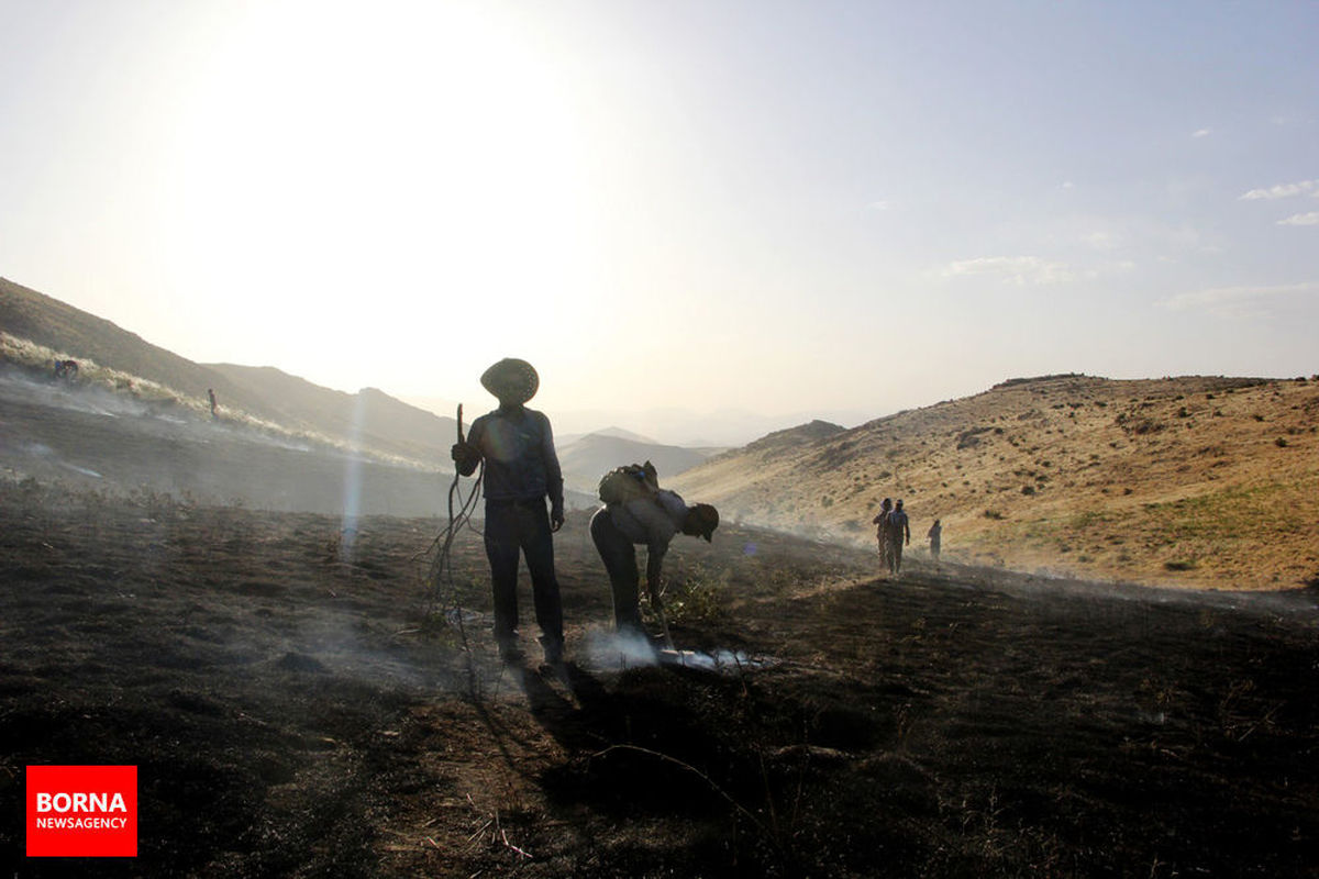 ۲۰ هکتار از مراتع طبیعی 