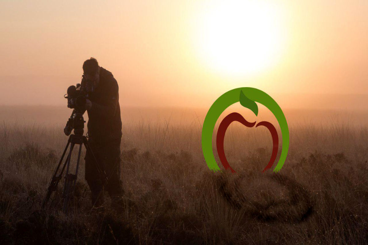 بررسی تأثیر بازی‌های ویدئویی