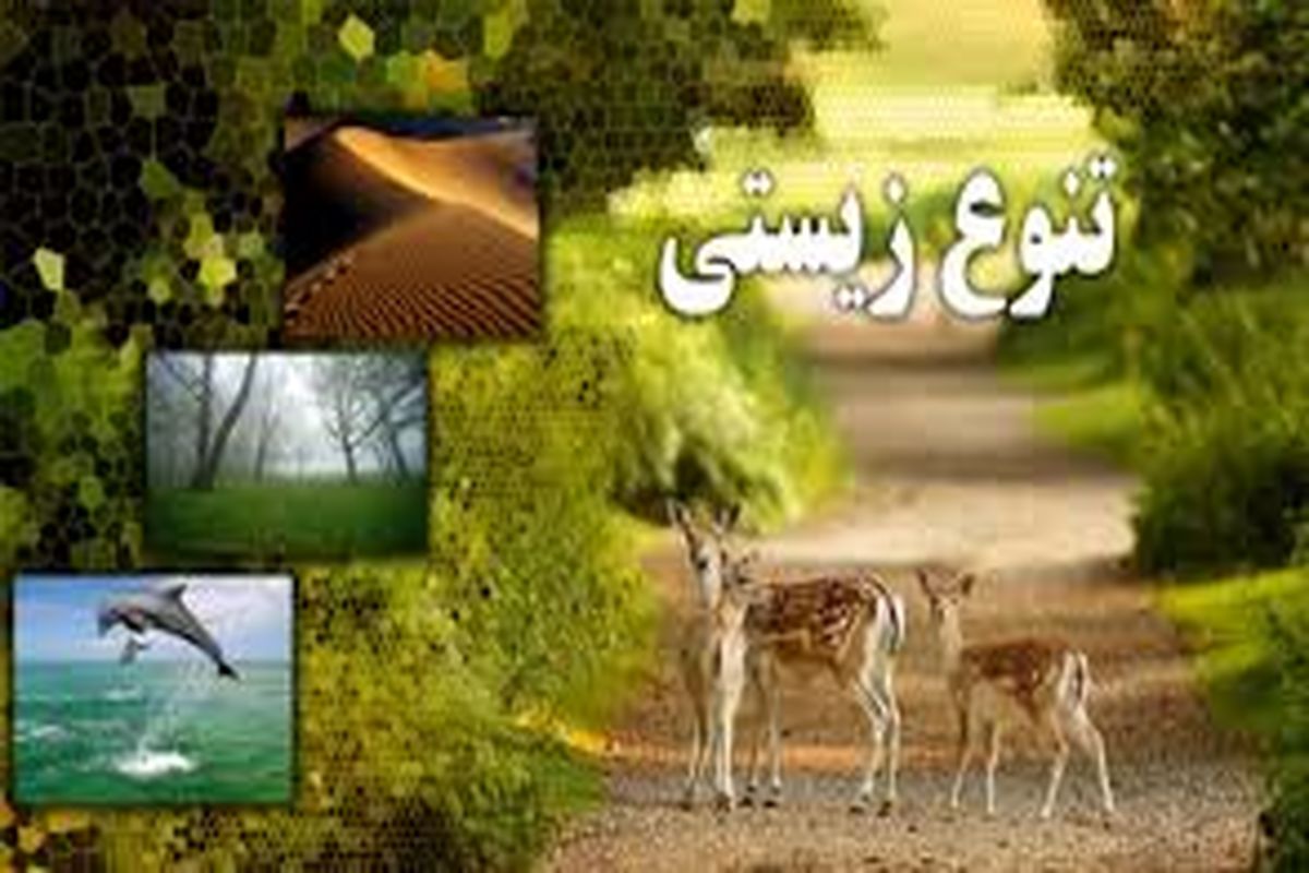 ستاد برگزاری روز جهانی تنوع زیستی در خراسان جنوبی تشکیل شد
