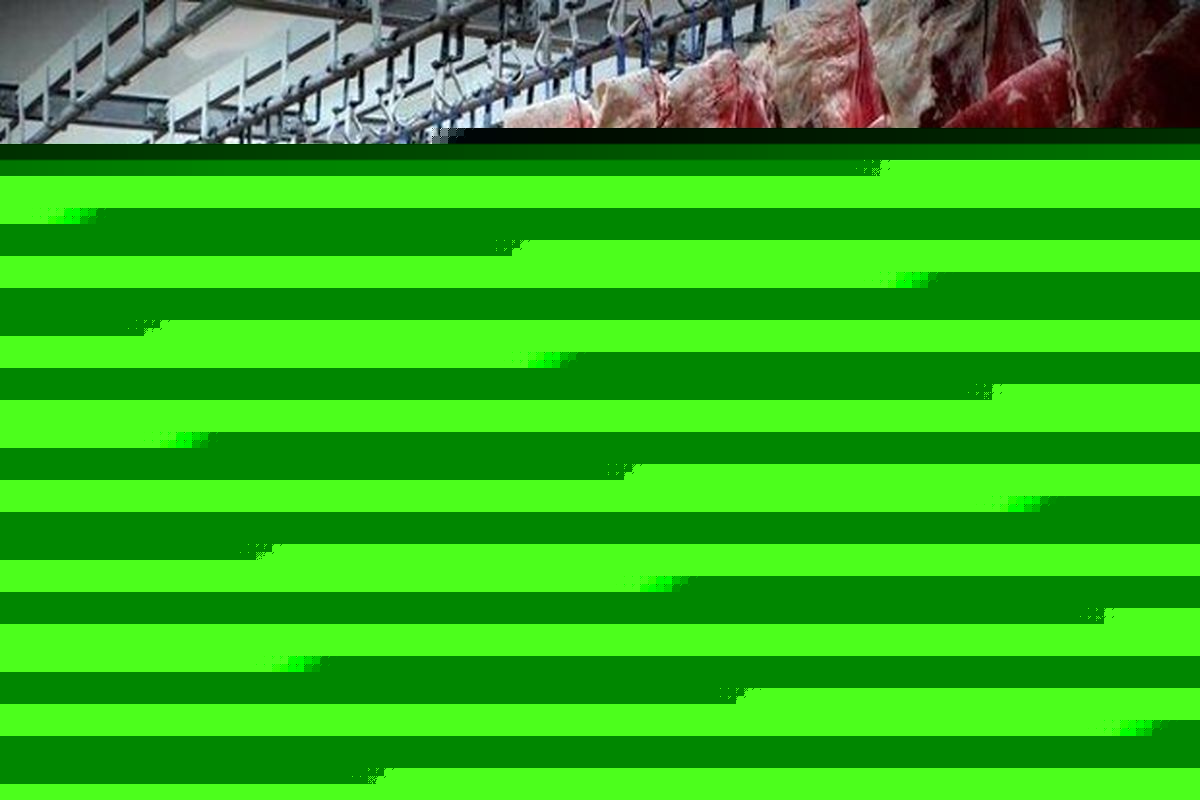 صادرات ۶۱۳۸ تن گوشت قرمز از سیستان وبلوچستان به سایر استان ها