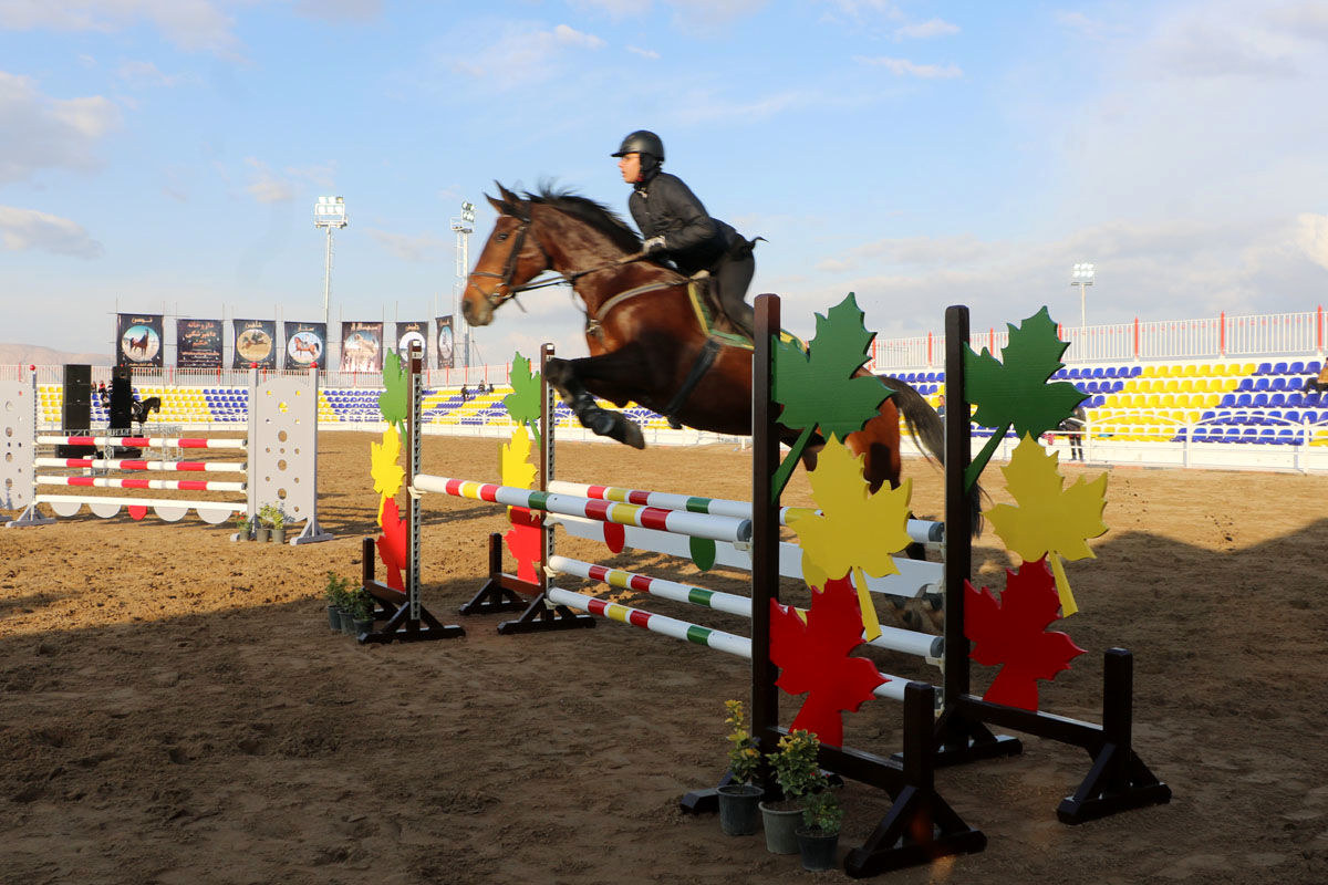 سوارکاران برتر همدان معرفی شدند