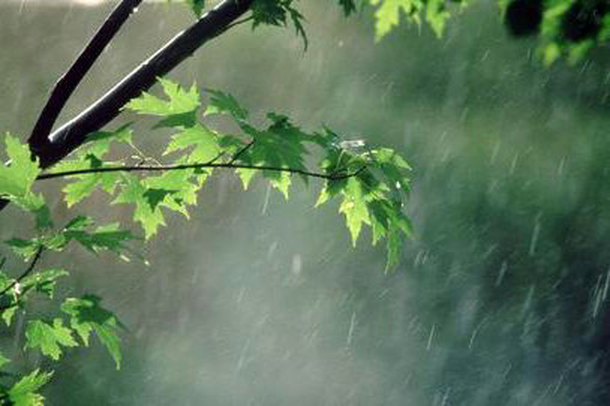 باد و باران در اکثر نقاط کشور