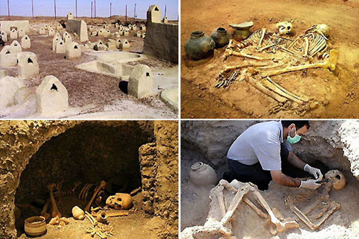 کشف اسکلت میمون پنج هزار ساله در شهر سوخته سیستان