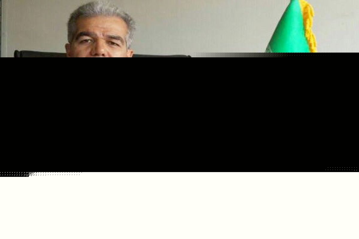 پیشرفت ورزش نشان‌دهنده سیاست‌های درست سلطانی‌فر است/ وزیر به عدالت محوری اهمیت زیادی می‌دهد