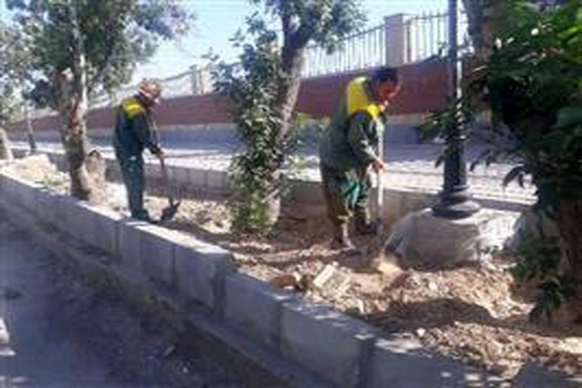 اجرای طرح بهسازی فضای سبز خیابان شهید درختی کهریزک