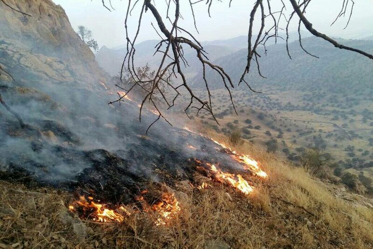 چهار هکتار از مراتع قزوین در آتش سوخت