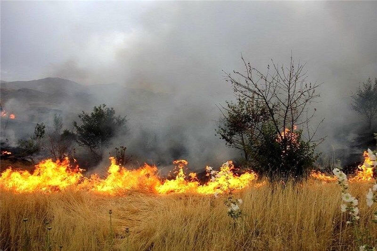 خطر آتش سوزی بیخ گوش دشت قزوین