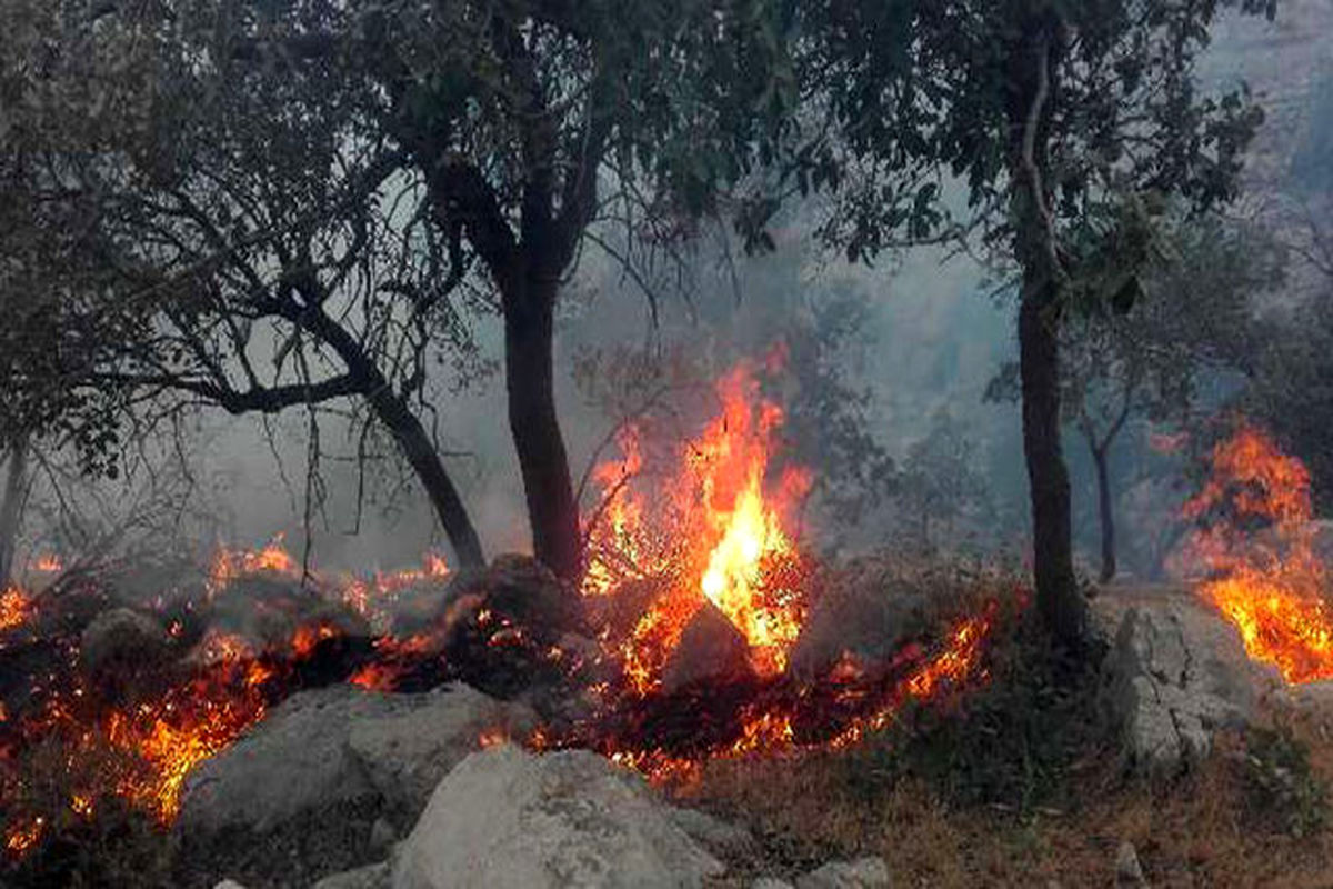 بیش از ۳۰ هکتار مراتع بافت در آتش سوخت