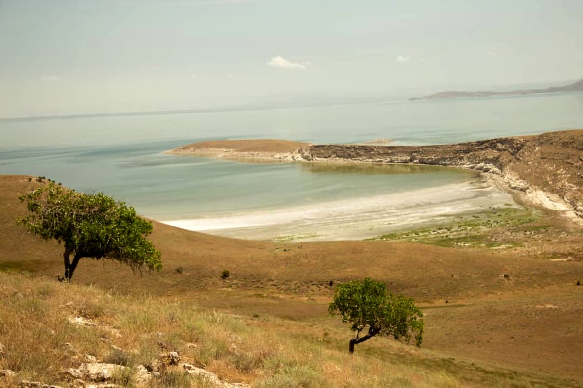 شوری آب دریاچه ارومیه ؛ کاملا نصف شده است