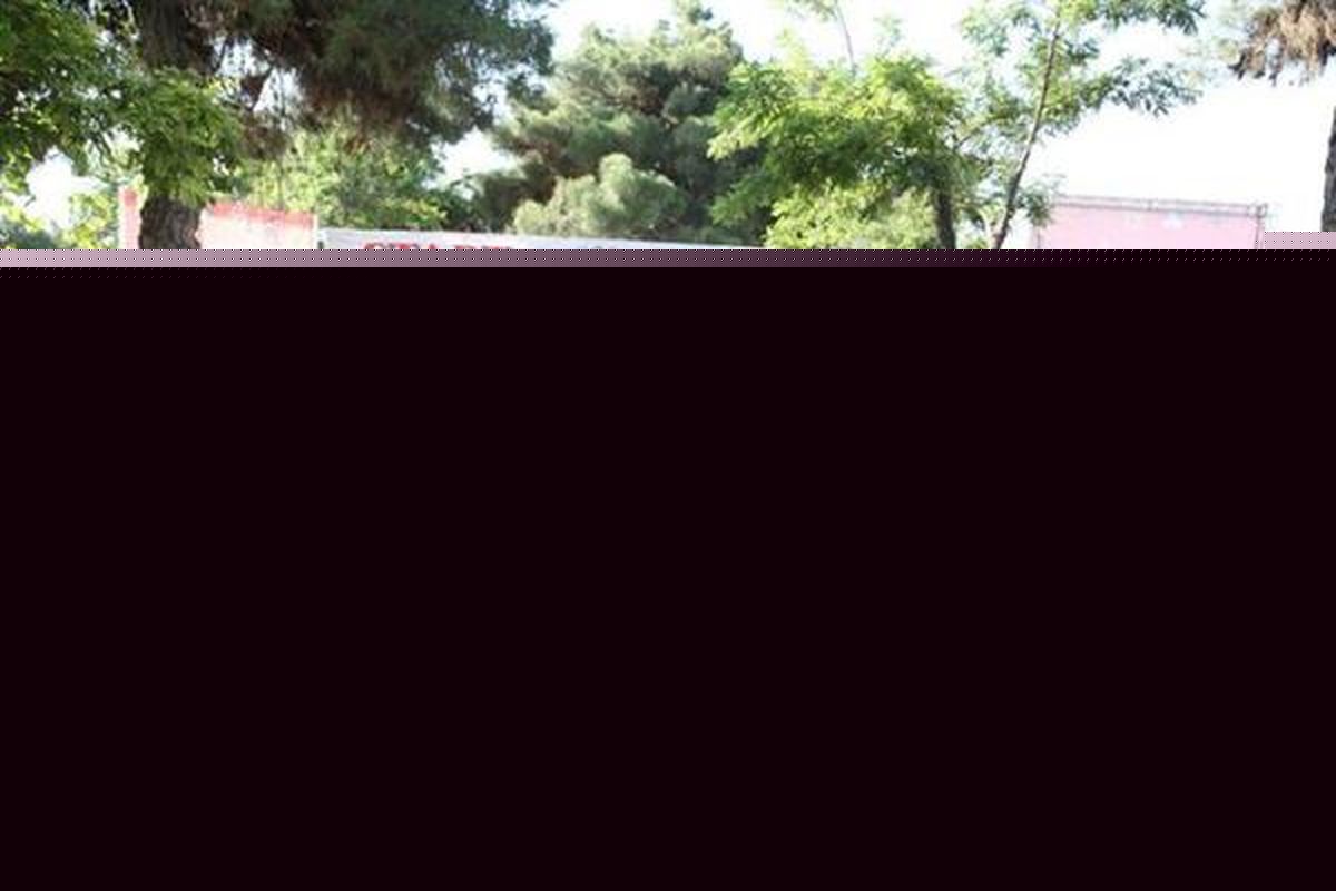 همایش دو و پیاده‌روی ویژه بانوان برگزار شد