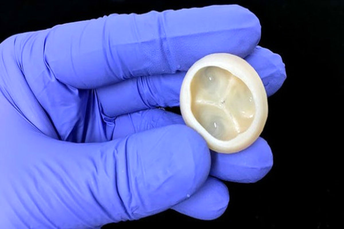 تولید قسمت‌هایی از قلب با پرینتر سه بعدی