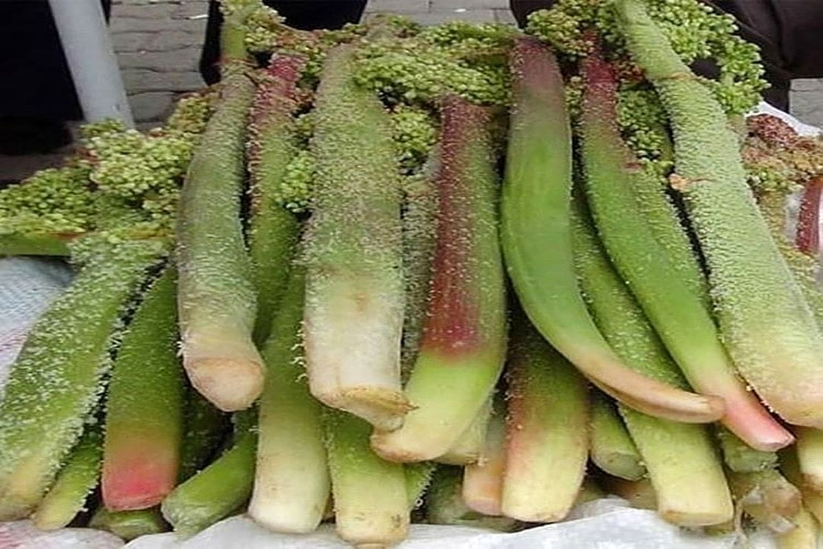 بهترین سبزی برای تحریک رشد استخوان‌ها