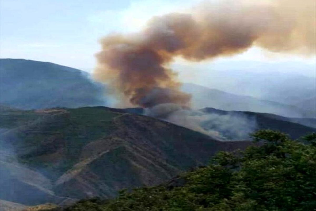 آتش‌سوزی در جنگل‌های ارسباران/  نابودی ۳۰۰ هکتار از این جنگل‌های منطقه