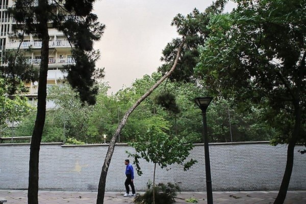 وزش باد نسبتا شدید پیش روی تهران