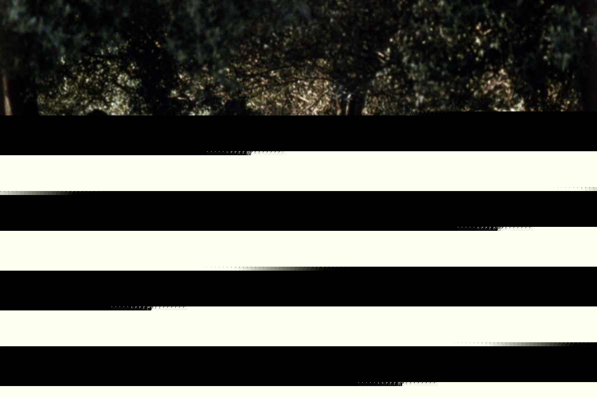 با دستمزد یک بازیگر خارجی می توان ۱۰ فیلم ساخت/ کیارستمی به خاطر حجاب دوربینش را داخل خانه نمی‌برد!