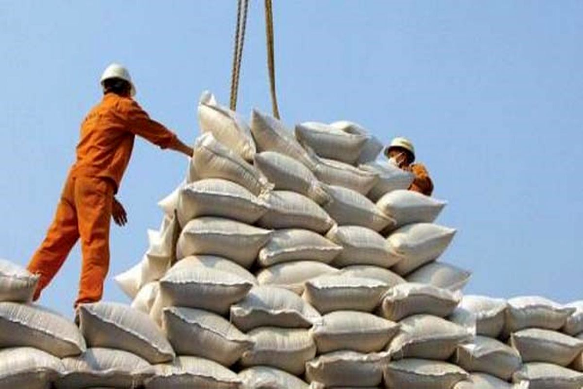 واردات برنج در بازار هدف تغییری ایجاد نمی‌کند/ مجلس قصد داشت ارز دولتی را از برنج بگیرد/ ۳/۵ میلیون تن مصرف سالانه‌ برنج در کشور بود که ۲/۲ میلیون آن در داخل تامین می‌شود