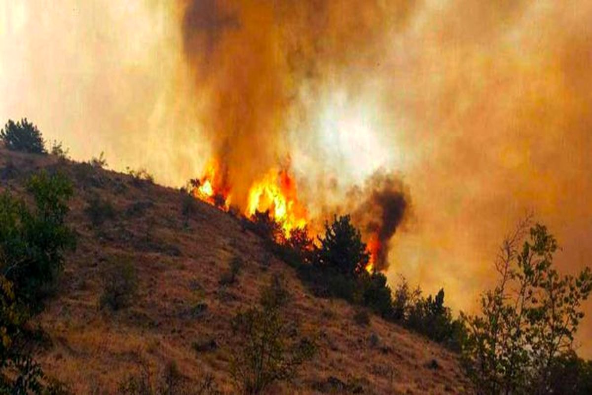 بازداشت عوامل آتش‌سوزی جنگل‌های ارسباران