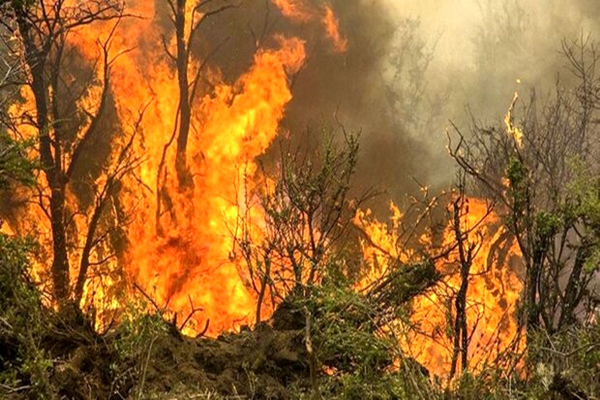 ورود مدعی العموم به موضوع آتش‌سوزی جنگل‌های ارسباران