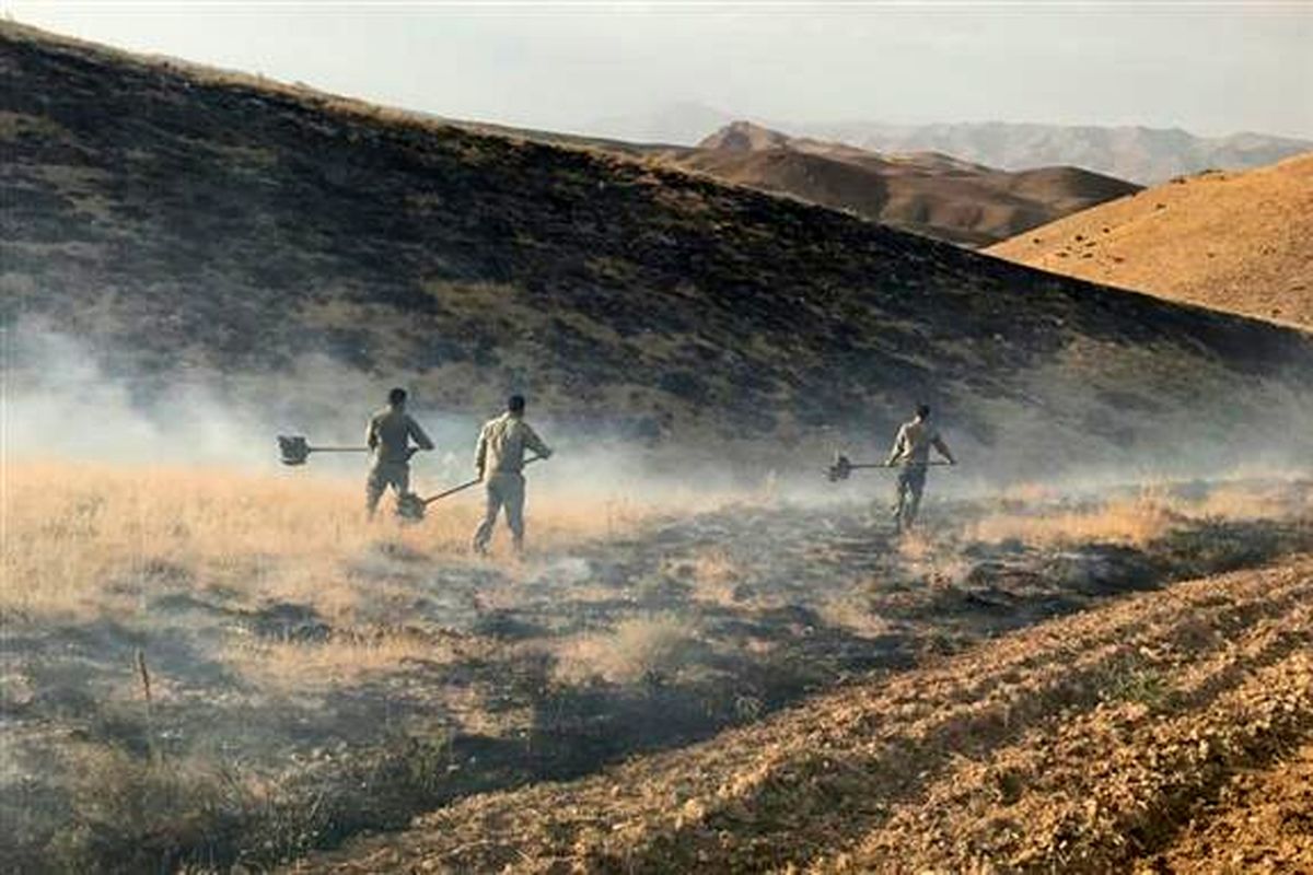 ۵۰ هکتار از اراضی منطقه حفاظت شده انگوران در آتش سوخت