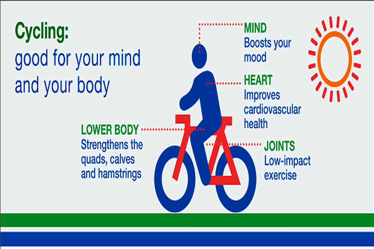فواید دوچرخه سواری برای بدن